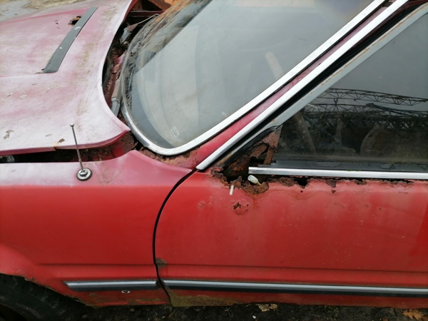 sd1.jpg
